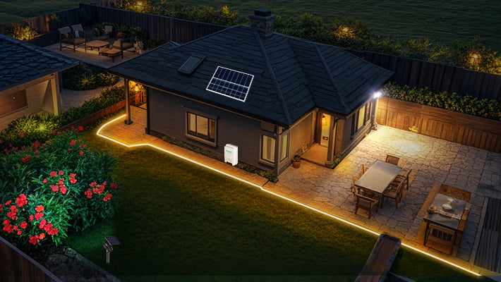 Revitalize Your Nights: Intelamp Solar Floodlights