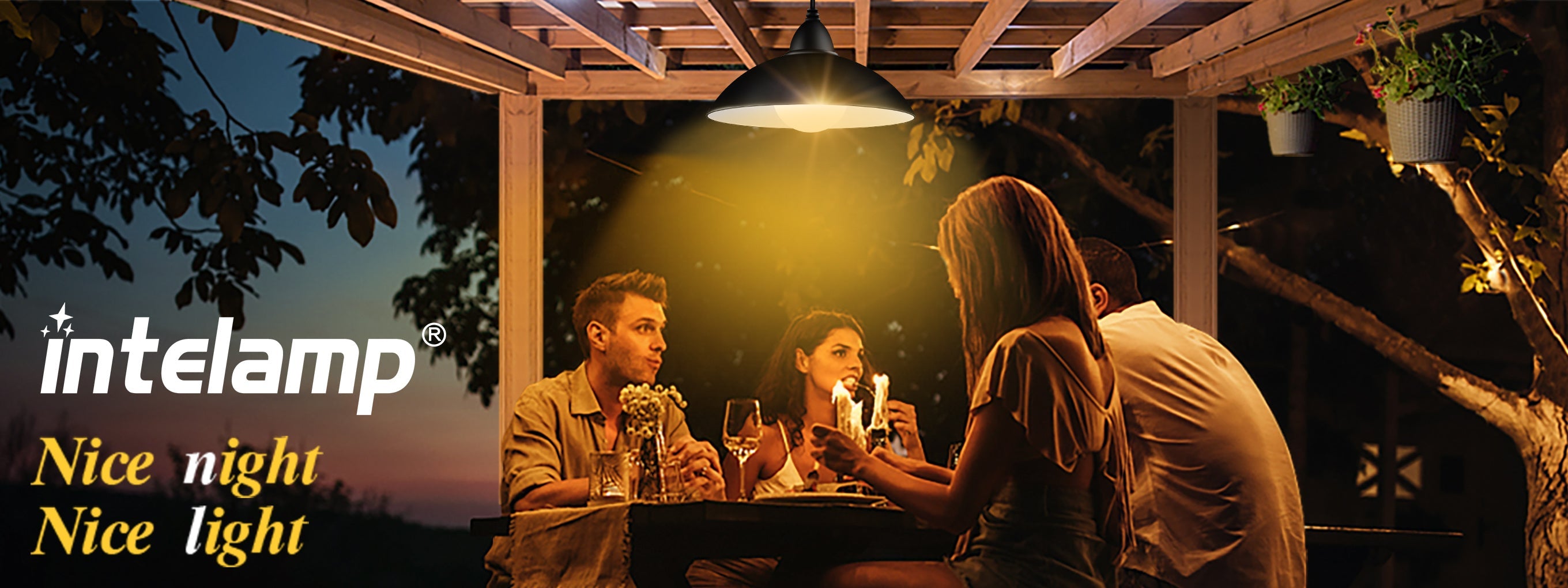 Illuminate Your Outdoor Oasis with Intelamp Solar Shed Lights