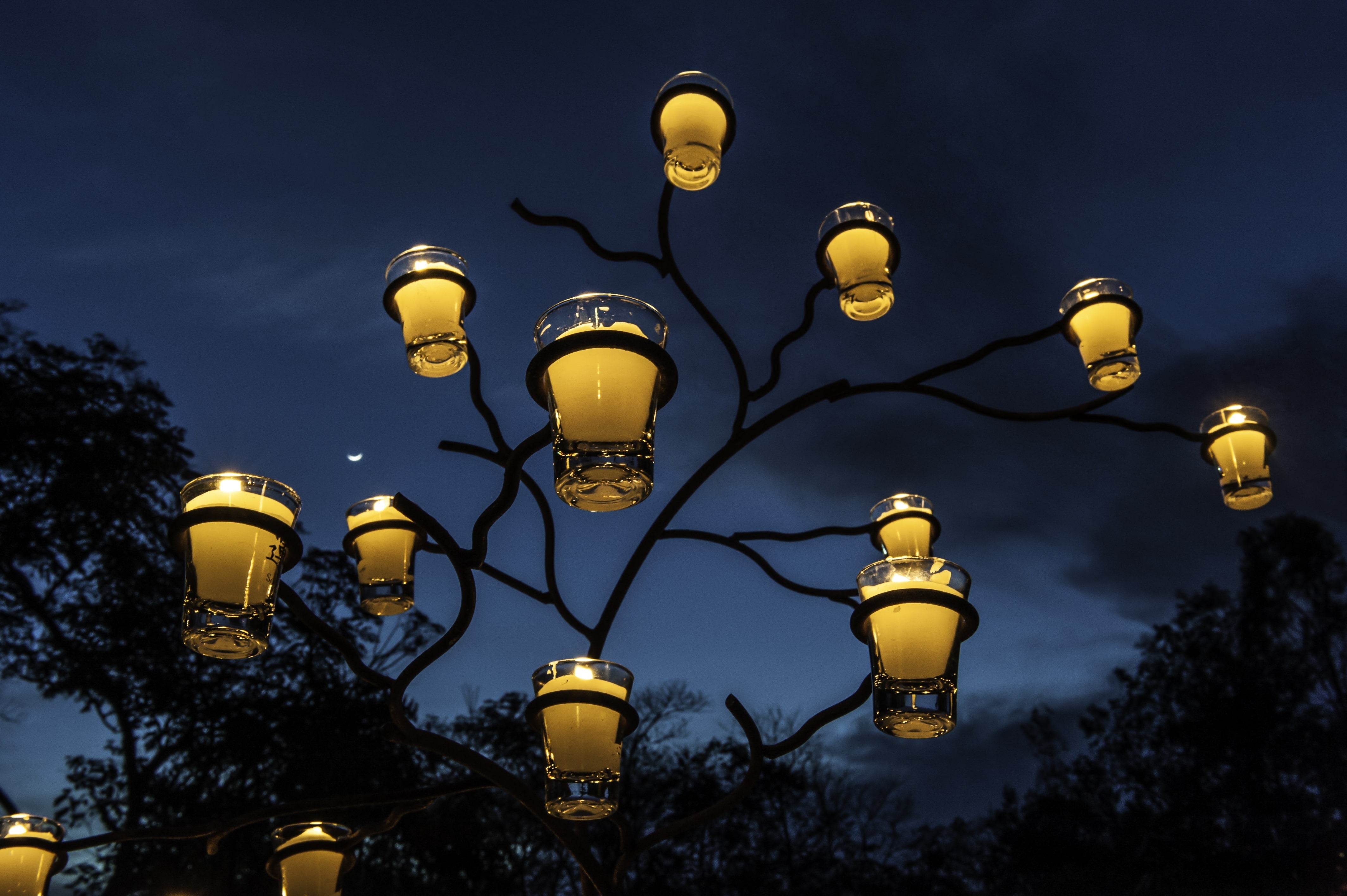 Light Up Your Camping Nights with intelamp Solar Lights!