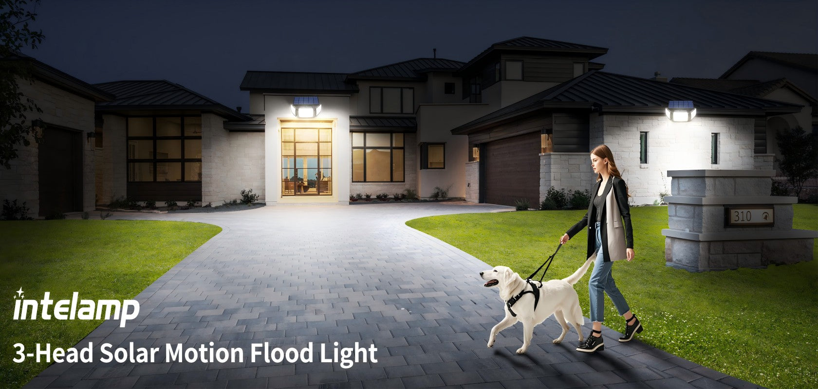 Why Do Users Love Outdoor Solar Lights?