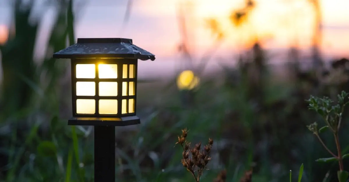 A solar garden light beginning to glow at sunset, illustrating the importance of positioning the solar panel for maximum sunlight exposure during the day to make the light brighter at night.