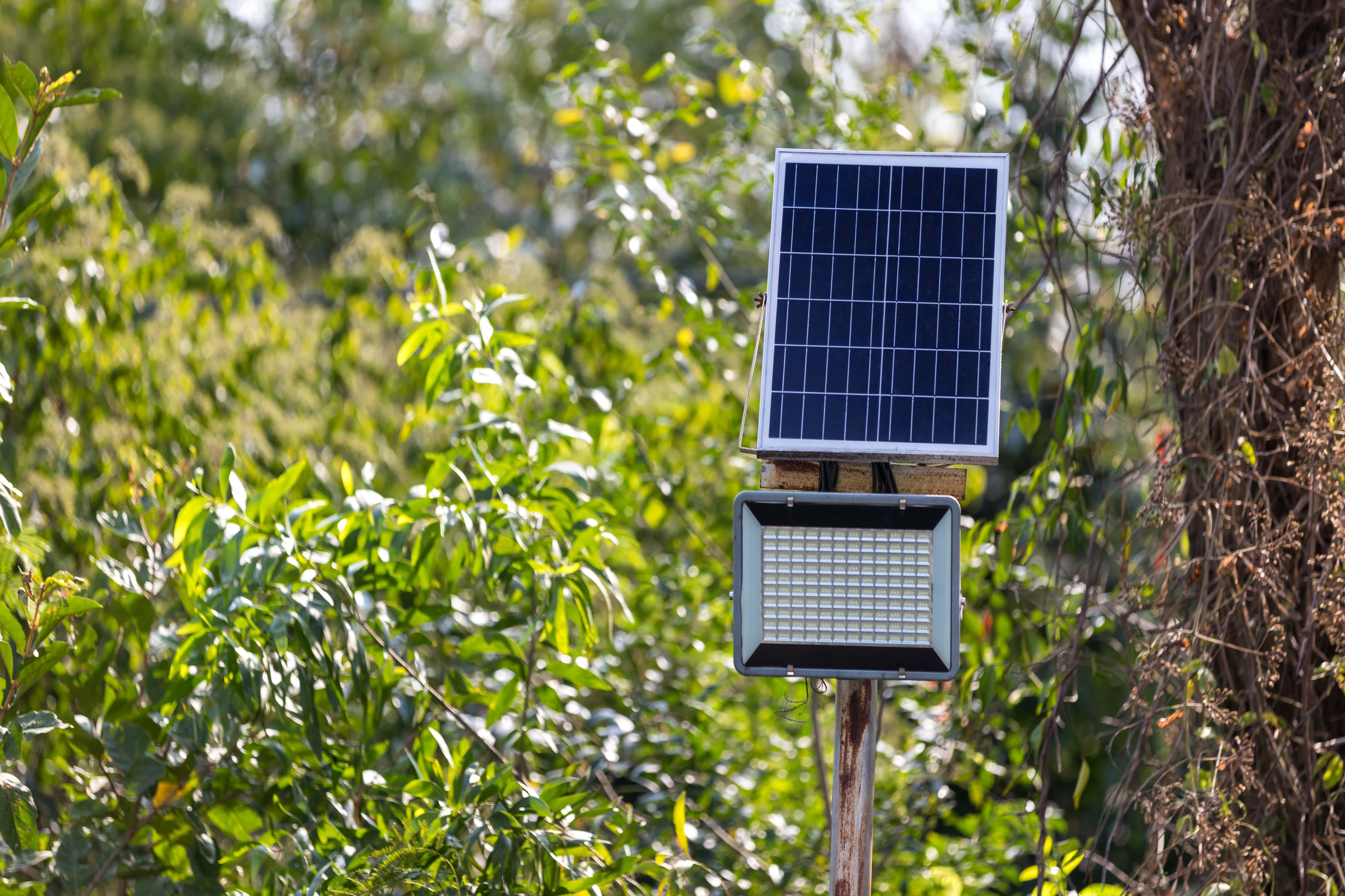 Not Your Average Garden Solar lights!