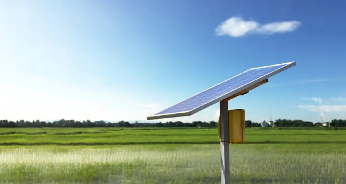 A solar panel positioned in a bright green field, absorbing direct sunlight from a clear blue sky to generate power