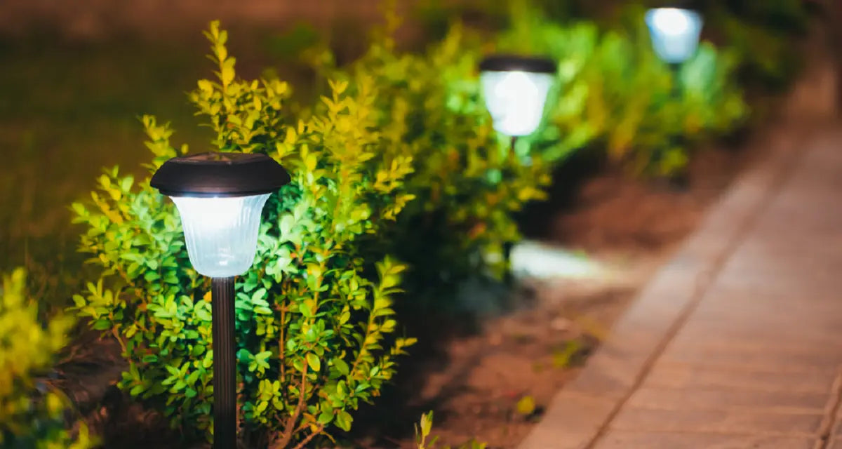 Solar-powered stake lights glowing at night along a garden pathway