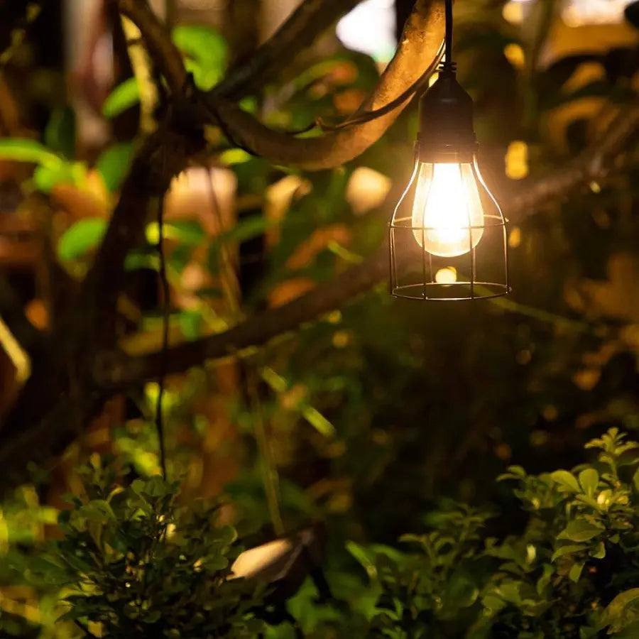 hanging solar pendant light illuminating garden tree