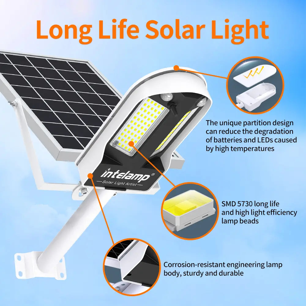 Long Life Durable Solar Street Light with Heat