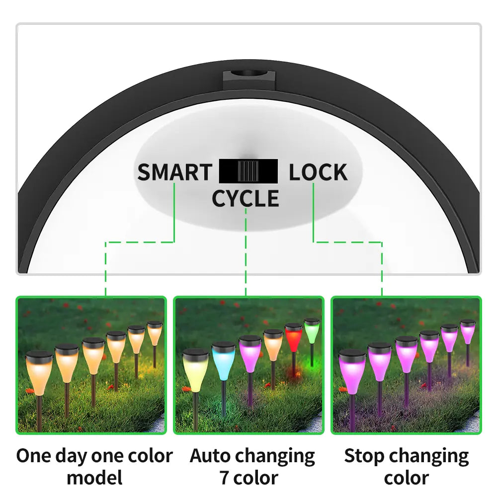 Solar Pathway Lights with 3 Color Changing Modes