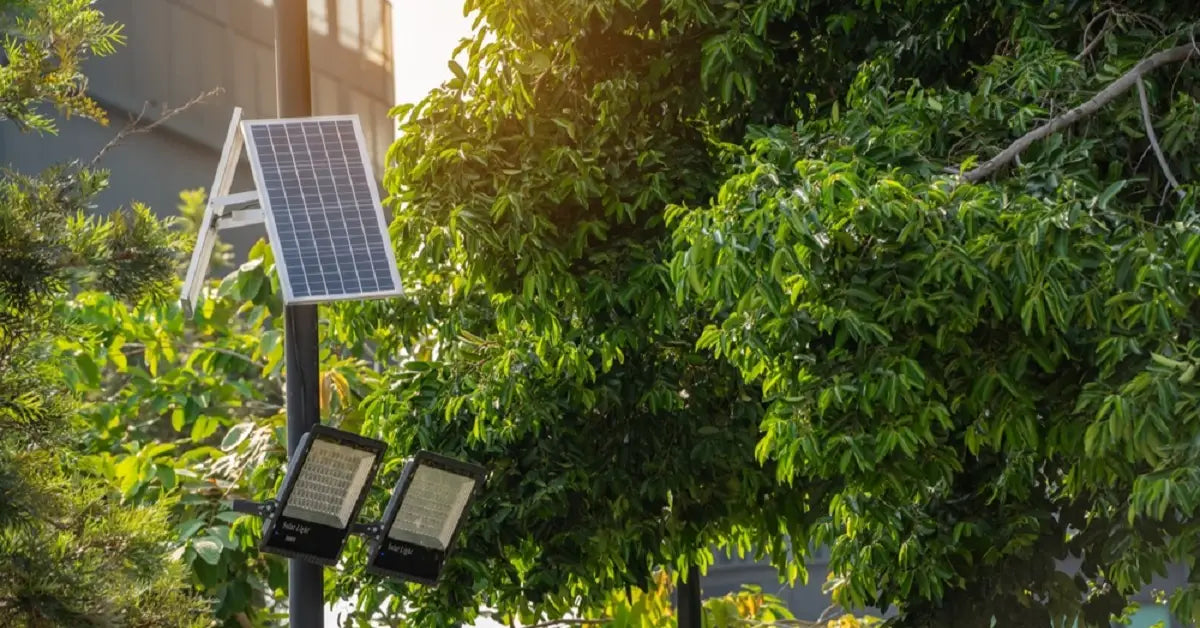 A modern solar lighting fixture positioned near a large tree, demonstrating how partial shade can limit charging and reduce how many hours solar lights work after sunset.