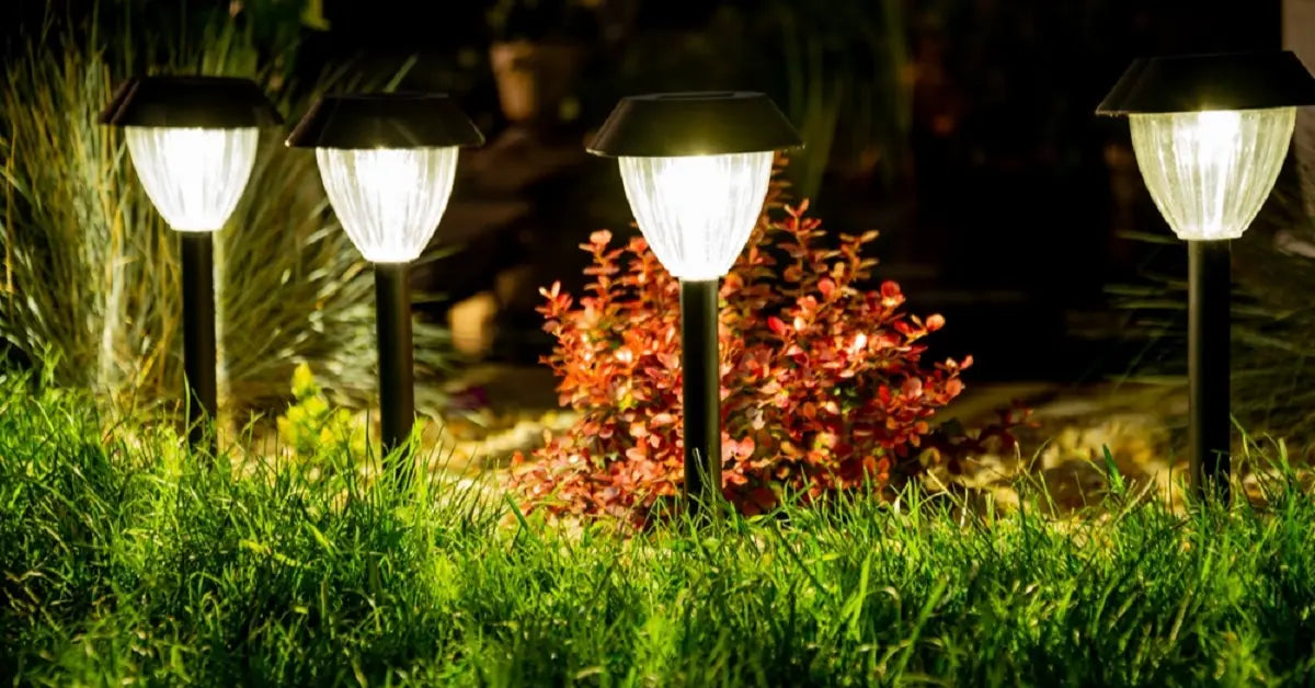 Four solar-powered path lights glowing brightly in a lush green garden at night, illuminating the grass and a red-leafed bush.