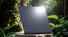 intelamp